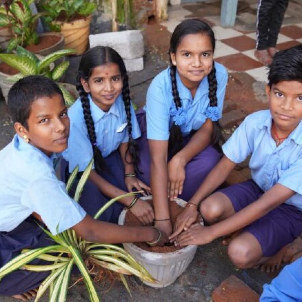 Schoolgirls planting saplings together